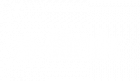 s-link